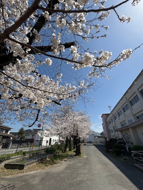 ホームページ写真.jpg