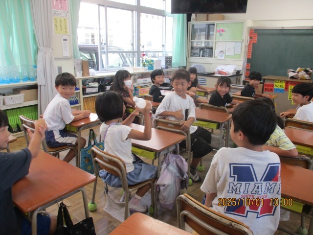 エゴの実の実験