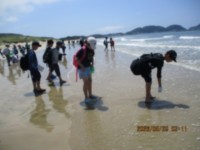 海浜ハンティング